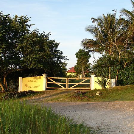 Hotel Casa del Caballo Blanco San Ignacio Exterior foto