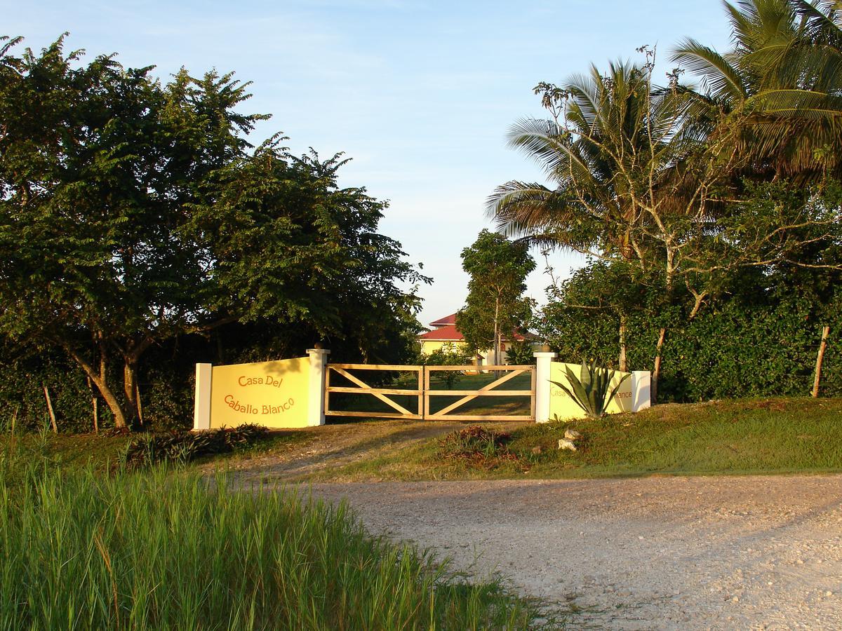 Hotel Casa del Caballo Blanco San Ignacio Exterior foto