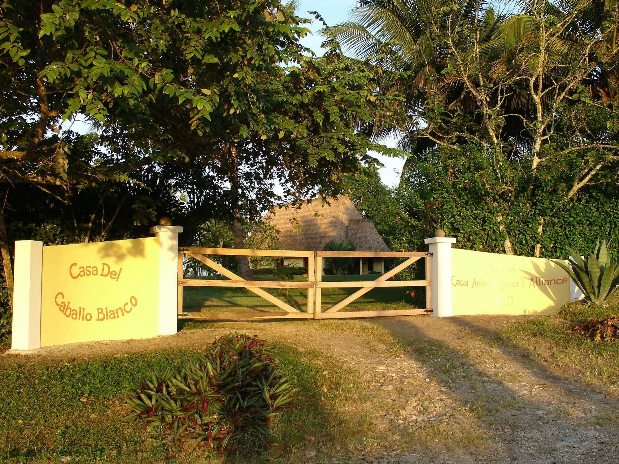 Hotel Casa del Caballo Blanco San Ignacio Exterior foto